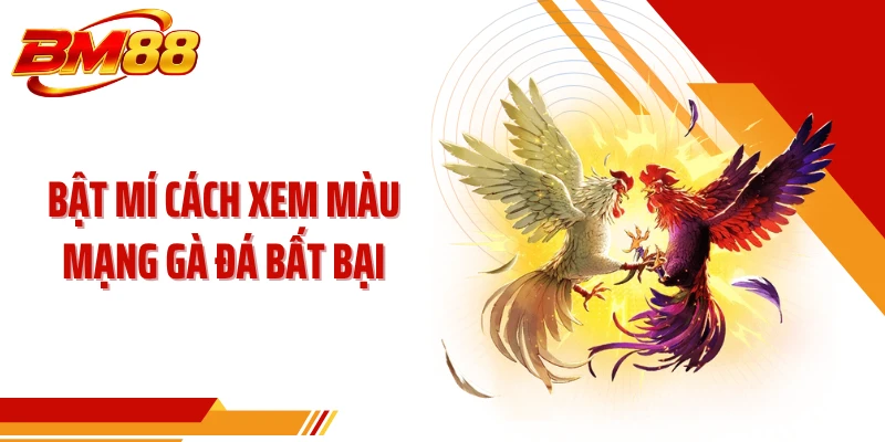 Bật mí cách xem màu mạng gà đá bất bại